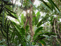 Biosphäre Potsdam (83 Bilder)