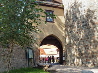 48h Fläming 2010: Raben, Burg Rabenstein mit Greifenschau (67 Bilder)