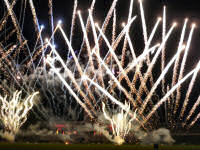 Pyronale 2010 (25 Bilder, 2 Videos)