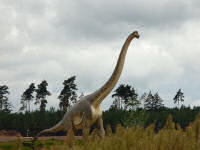 Tierparkfest im Tierpark Germendorf (51 Bilder)
